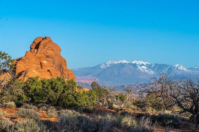 Arches National Park Half Day Tour - What you’ll actually do: walking level, photo time, and comfort tips