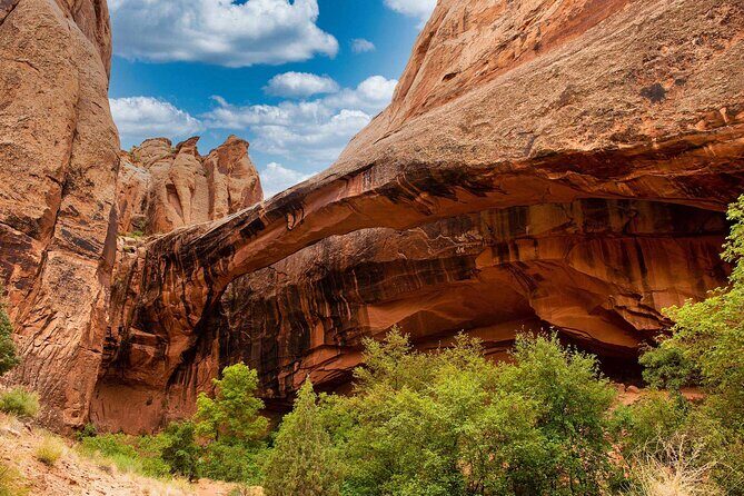 Canyoneering Morning Glory Arch - Who should book this Morning Glory Arch canyoneering trip?