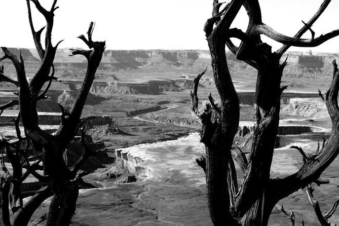 Canyonlands National Park Half-Day Tour from Moab - Gooseneck Overlook, Musselman Arch, and those classic named points