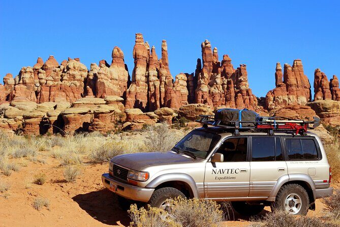 Canyonlands National Park Needles District by 4x4 - Needles driving plus wildlife spotting stops