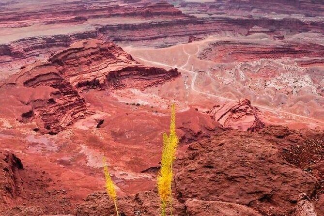Day Tour Arches and Canyonlands National Park in Utah - Moab Morning Start: A 10-Hour Day With Real Breathing Room