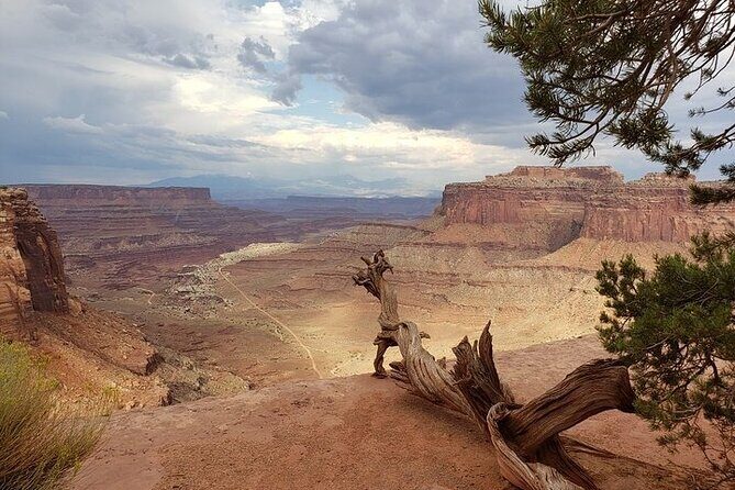 Day Tour Arches and Canyonlands National Park in Utah - Should You Book the Arches and Canyonlands Jeep Day?