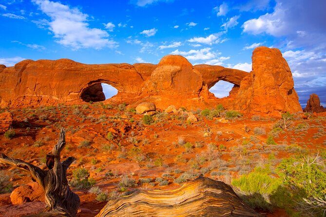 Discover The Best Of Moab In A Day: Arches Canyonlands Dead Horse - Short Hikes, Big Photo Payoff: Park Avenue and the Arch Circuit