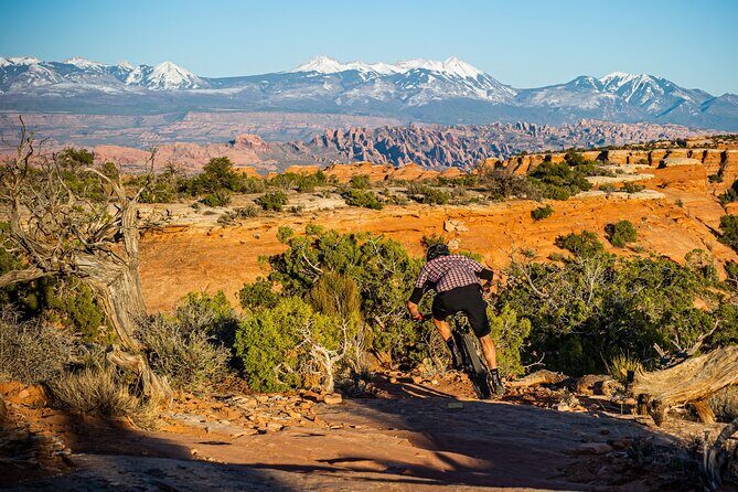 Exclusive Intermediate Advanced Private Guided Mountainbike Tour - Trailhead Setup: Bike Fit and a Quick Reality Check