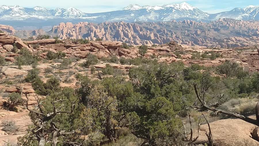 From Moab: Rock of Ages Moderate Rappelling Obstacle Course - Key things to know before you go