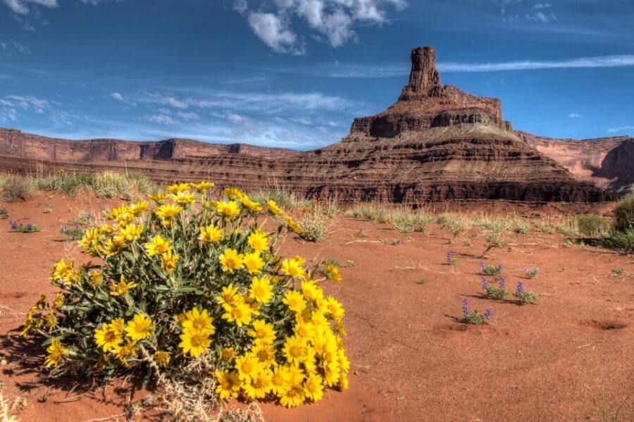 Moab: Canyonlands National Park 4x4 White Rim Tour - Who should book this White Rim 4x4 tour (and who might not love it)