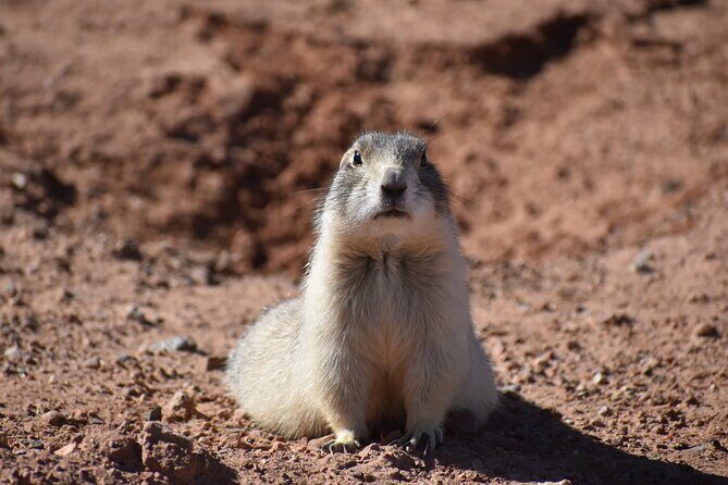 Moab Combo: Colorado River Rafting and Canyonlands 4X4 Tour - Lunch by the River: A Real Break, Not Just a Snack Stop
