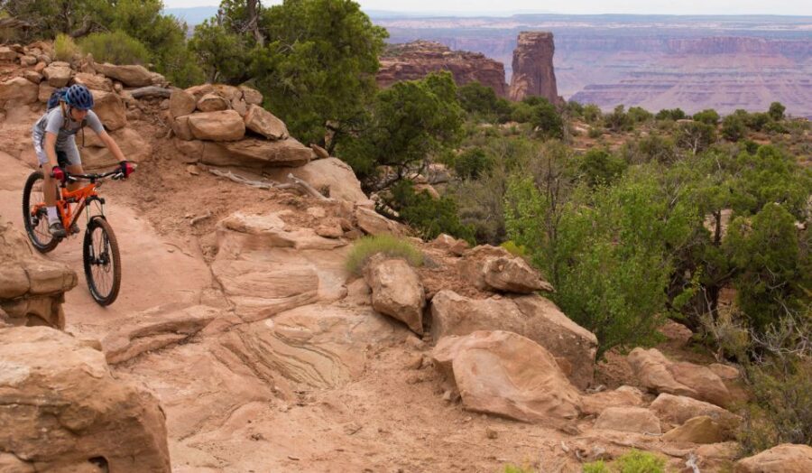 Moab: Dead Horse Point Singletrack Mountain Biking Tour - Price, fitness, and value at $155
