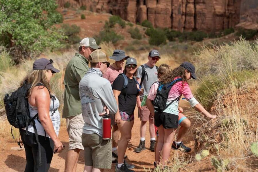 Moab Half Day Jeep Tour - What makes the Moab Half Day Jeep Tour worth your time