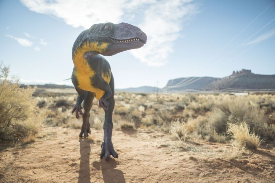 Moab: Moab Giants Dinosaur Park and Museum Entrance Ticket - Where to recharge: café, gift shop, and small real-world notes