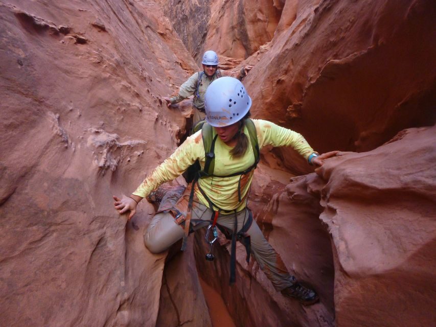 Moab: Morning or Afternoon Half-Day Rappelling Tour - Key Things You’ll Notice on This Moab Half-Day Rappelling Tour