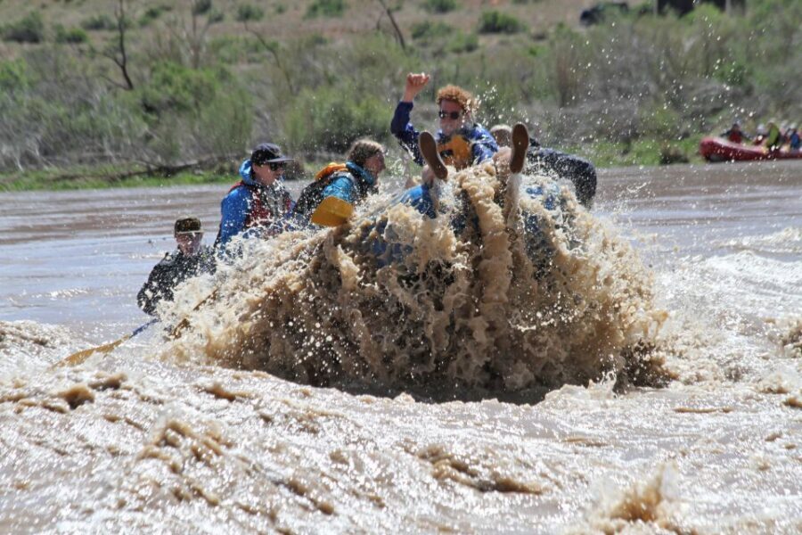 Moab: Whitewater Rafting on the Colorado River - Wildlife and small moments you’ll remember