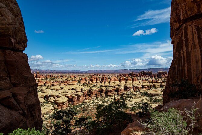 NEW! Canyonlands Needles Chesler Park Hiking Discovery Tour - Newspaper Rock: petroglyphs you can actually make sense of