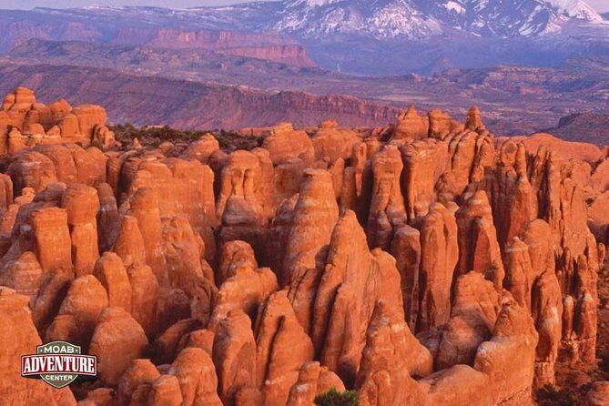 Two-Hour Hummer Safari - Stop 3: La Sal Mountain Loop for a different kind of view